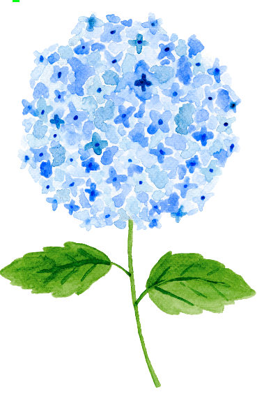 "The Hydrangea" Hanger